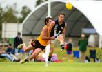 Evan Panozza gets a kick off under pressure in the Victoria versus Western Australia clash. 99154 Picture: AFL PHOTOS