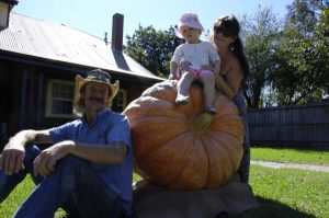 Pumped up pumpkin