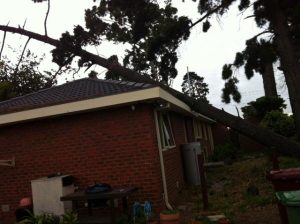 Close call in storm
