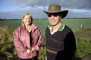 Home-grown advantage