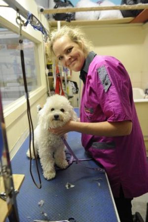 Grooming for caring pets