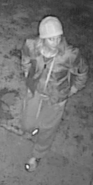 Bad attitude break-in bid