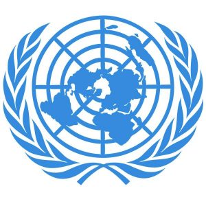 UN bid taken on faith
