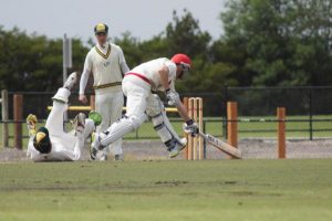 Swans spring surprises