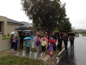 Residents want their trees axed