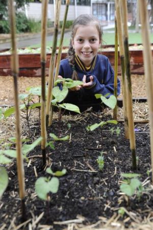 How their gardens grow