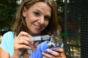 Heat kills wildlife