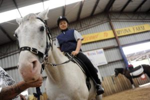Horse skills in good stead