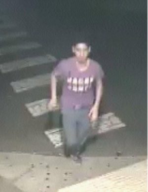 Police hunt for brawlers