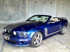 Missing Mustang spotted