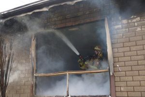Pooch saved in fire rescue, but mate perishes