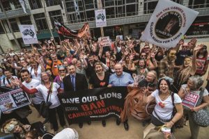 ’Horrific’ hunt tracks stalled
