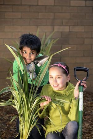 Thumbs up for green teams