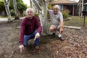 Tree change