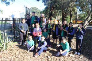 Growing the future