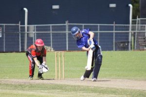 Lions’ den swelling with pride