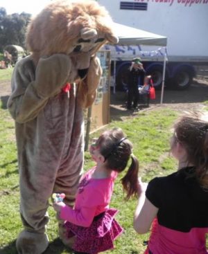 Market has lion’s share