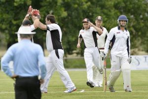 Tigers on the attack