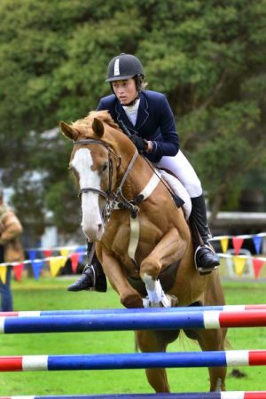 Show – enter the arena