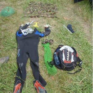 Abalone officers pounce