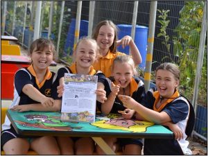 Challenged to crack the code