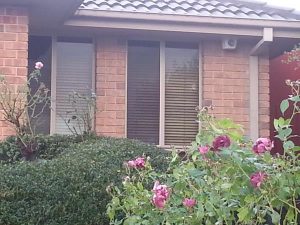 Four escape after shots fired into house