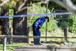 Trial date set for park murder