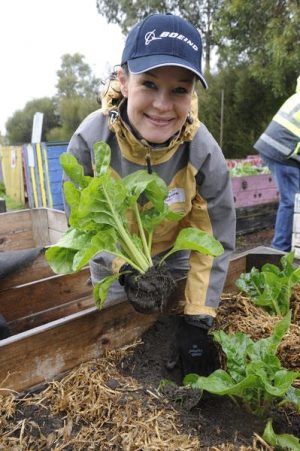 Growing great Boeing gardens