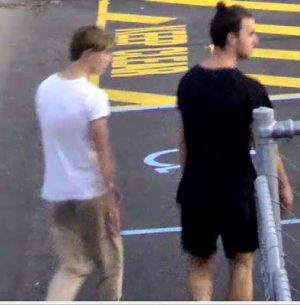 Two wanted over computer thefts