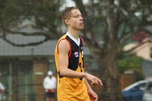 New Stingray Gains debut