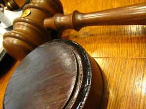 L-plater crashes in police pursuit
