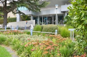 Two seek mayoral role
