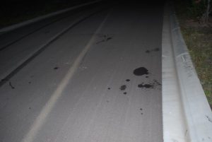 Roos killed in ‘sickening’ attack