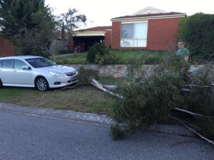 Winds whip up damage bill in south-east