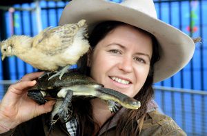 Six things to do in the south-east