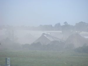 Residents hit by dust swarms