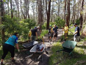 Riders jump in to help