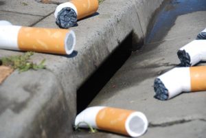 Man fined $2000 for cigarette butt litter