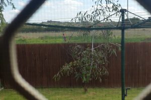 Asbestos site works stopped
