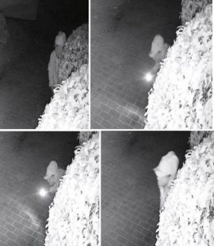 Burglary suspect caught on cam