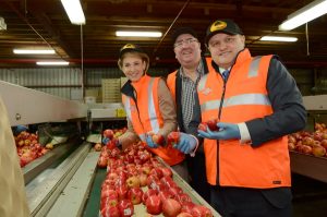 Jobs – she’ll be apples!