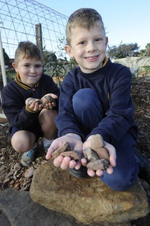 Sensory garden to soothe students