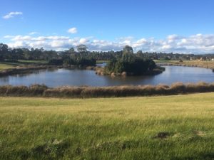 Residents oppose lake drain