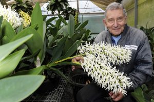 Show will be bloomin’ lovely