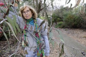 Council contractors destroy native plants