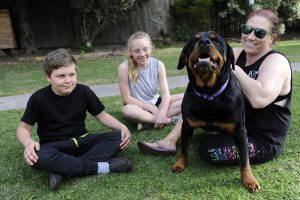 Dog’s innocence upheld