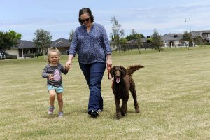 Dog waste blitz brings owners to heel