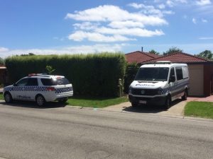 Dope plants seized in Narre South
