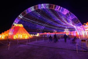 High returns for lantern trip