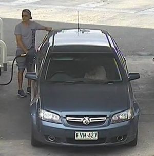 Police investigate petrol drive-off